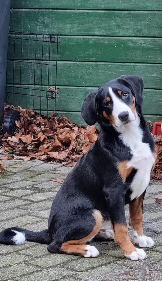 Het Voorhuis Boerderij Hoeve Vrede Best Weesp Kültér fotó